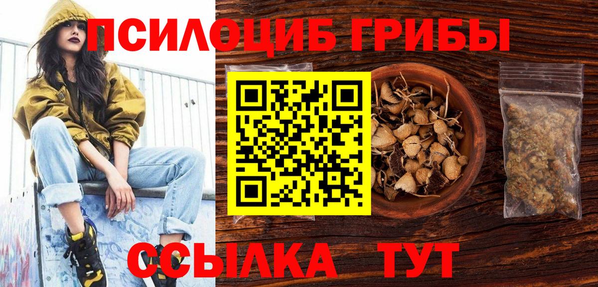 Губаха  где купить наркотик  Вход с VPN  Галлюциногенные грибы прущие грибы 